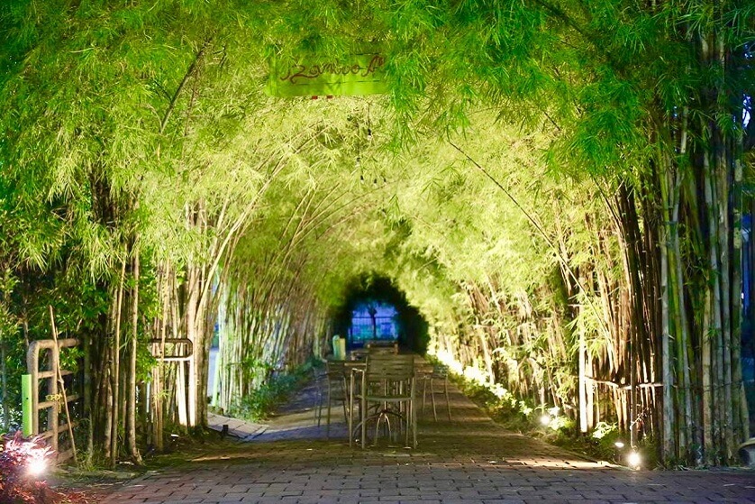 Bamboo Alley