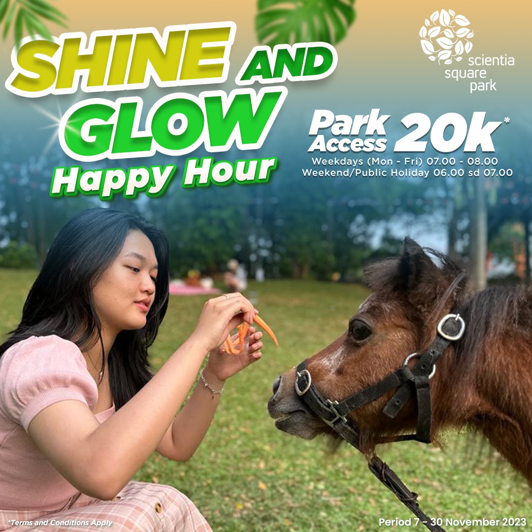 Shine and Glow Happy Hour Park Access 20K