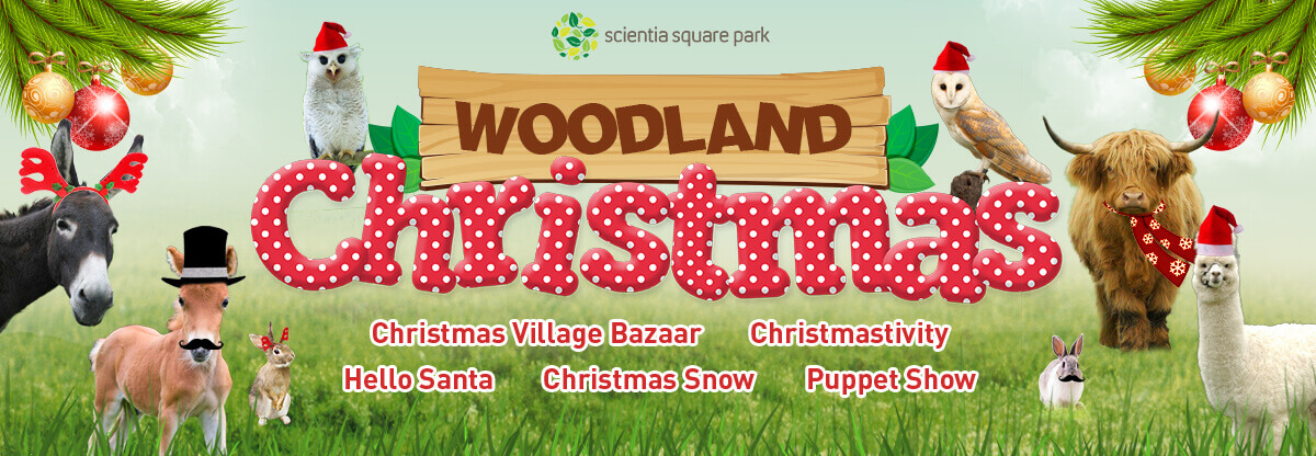 Woodland Christmas