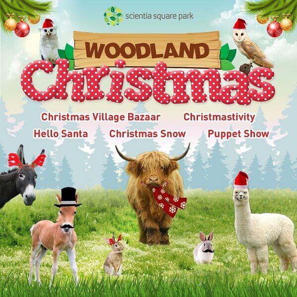 Woodland Christmas