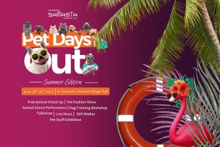 Samasta Pet Days Out