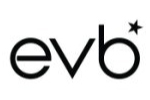 Logo EVB* 