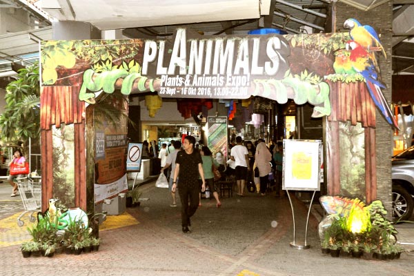 PLANIMALS Plants & Animals Expo 2016
