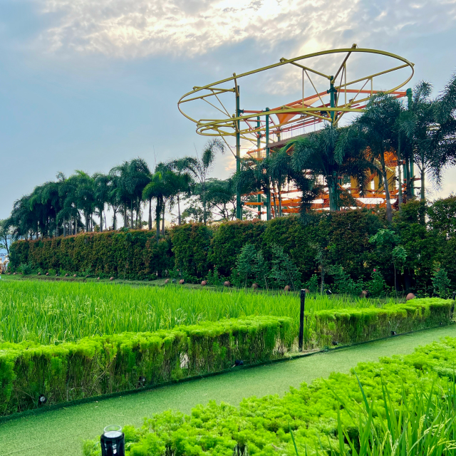 https://images.malkelapagading.com/album/6804//sqp-paddy-field-2.jpg