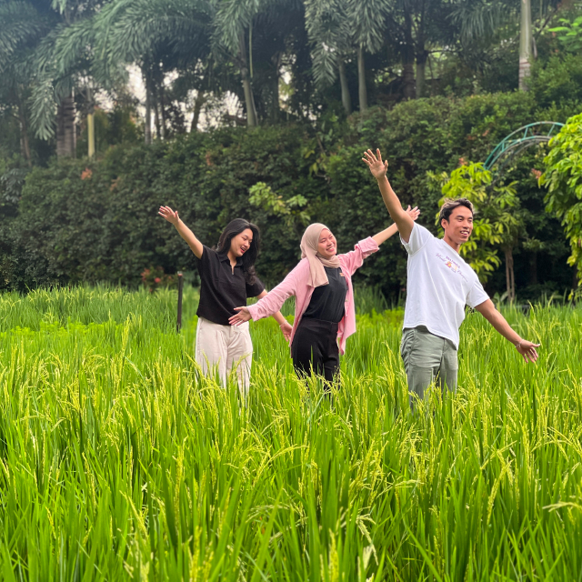https://images.malkelapagading.com/album/6804//sqp-paddy-field-3.jpg