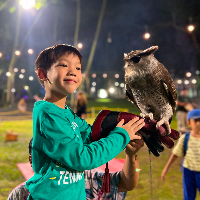 https://images.malkelapagading.com/album/6850//sqp-fun-with-owl-1.jpg