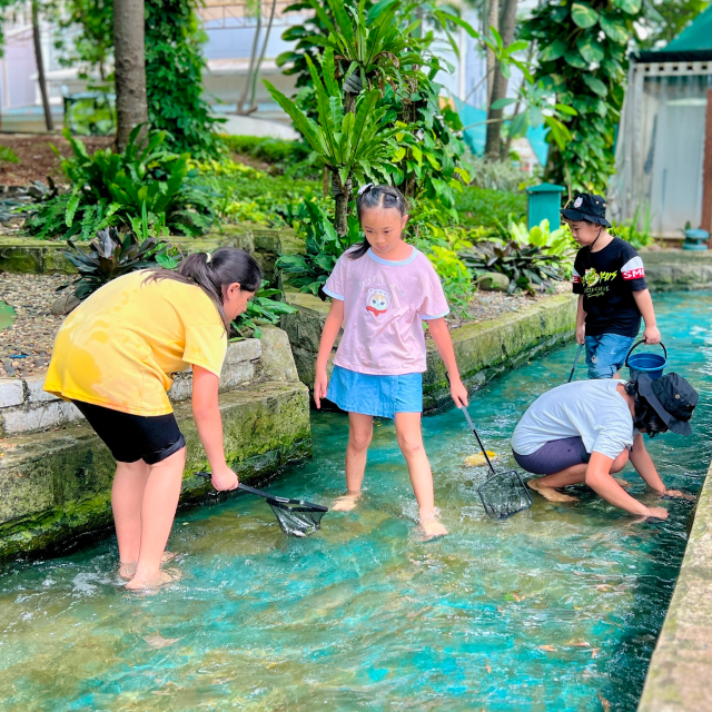 https://images.malkelapagading.com/album/6962//sqp-fish-scooping-2.jpg