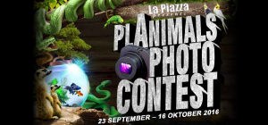 Planimals-Photo-Contest.jpg