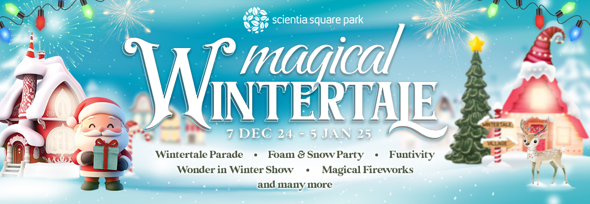 Magical Wintertale