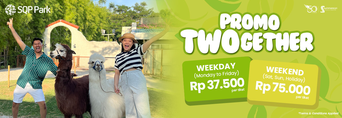Promo Twogether