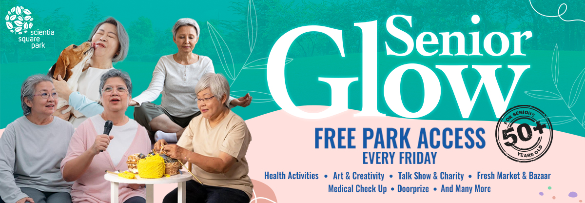 Senior Glow Free Park Access Every Friday