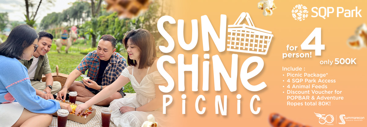 Sunshine Picnic