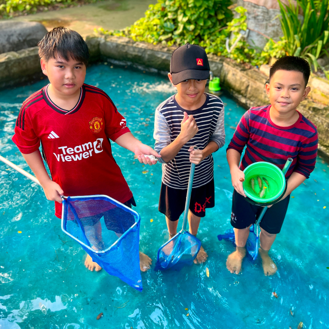 Fish Scooping 