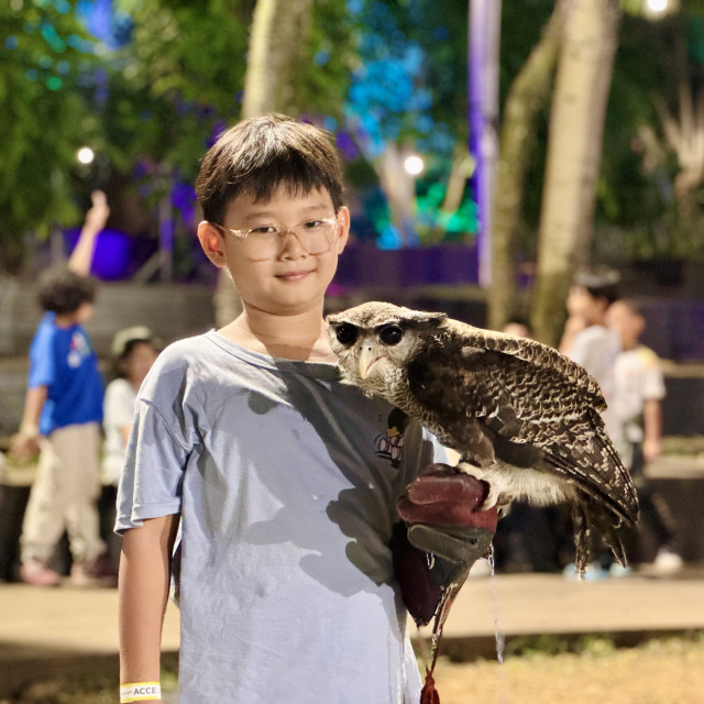 Fun with OWL