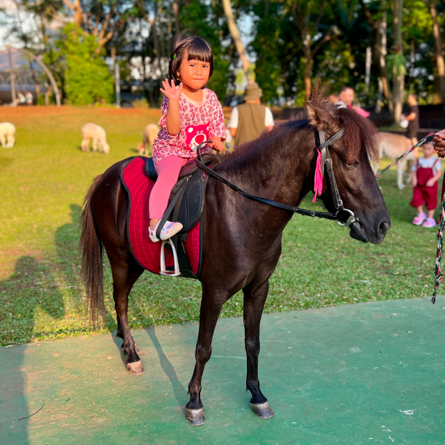 Mini Riding Club