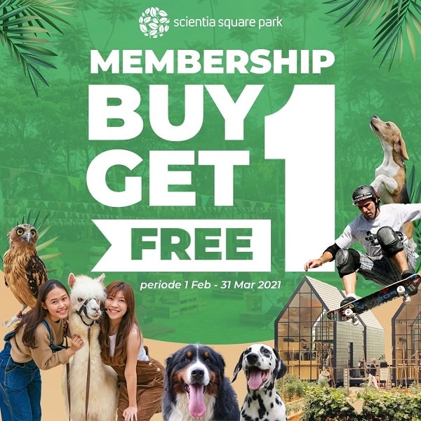BUY 1 GET 1