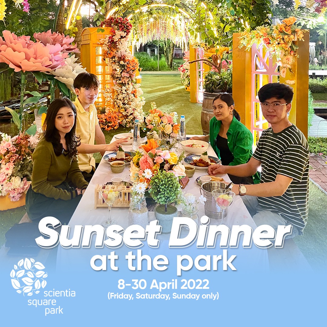 Sunset Dinner On The Park