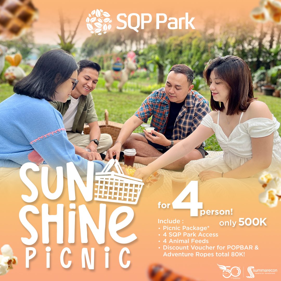 Sunshine Picnic