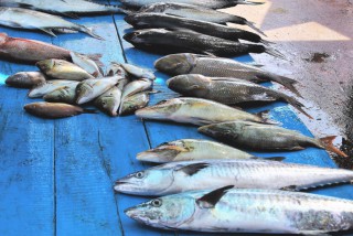kedonganan-fish-market