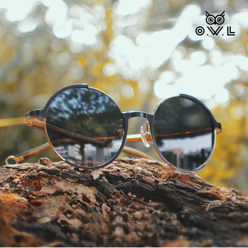 OWL New Sunglass Collection